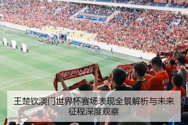 王楚钦澳门世界杯赛场表现全景解析与未来征程深度观察
