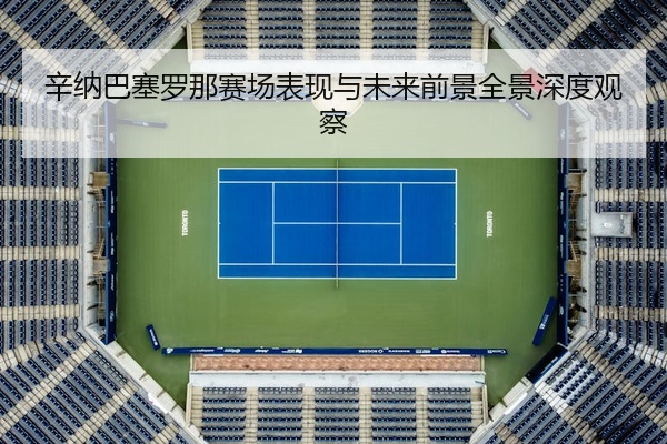 辛纳巴塞罗那赛场表现与未来前景全景深度观察